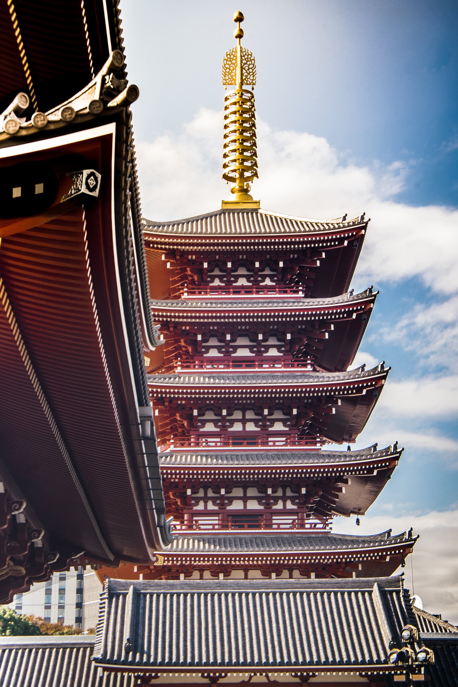 JAPAN (WB LOW RES)-1.jpg